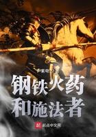 钢铁火药和施法者epub