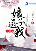 娘子送我上青云无弹窗