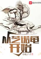 芝诺的乌龟的意义