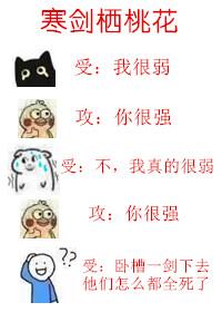 寒剑栖桃花大结局是什么
