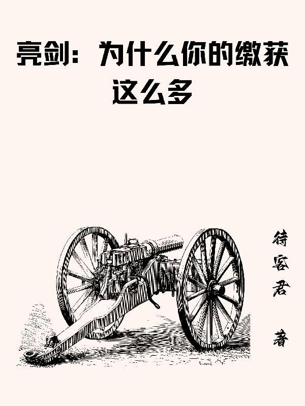 亮剑我给云龙当领导txt