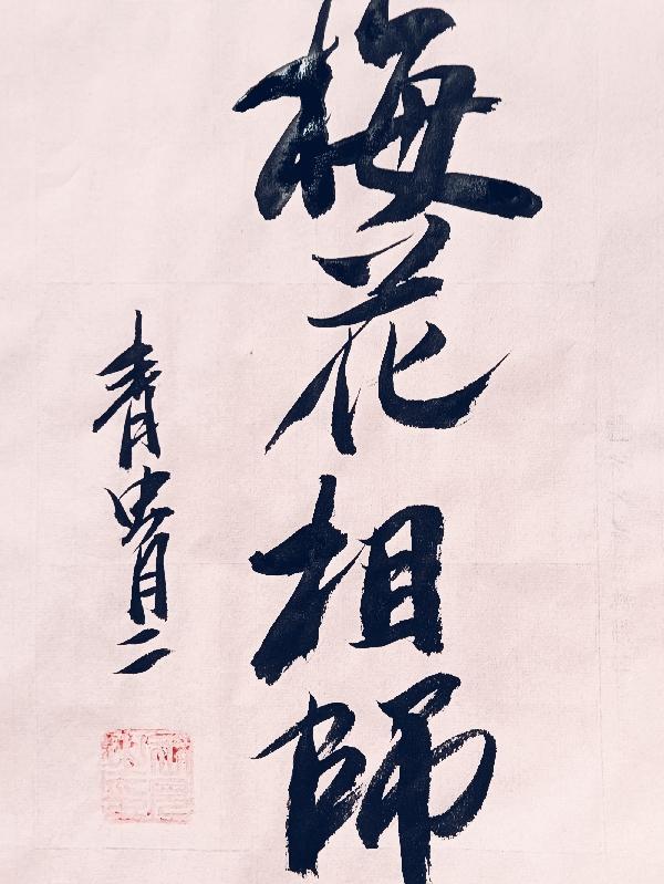 梅花型是什么相位