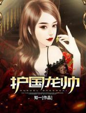 护国龙帅叶无双
