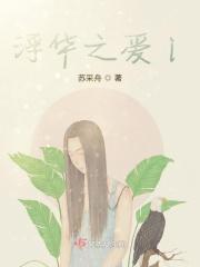 浮华之年