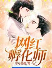 网红孵化公司收费吗