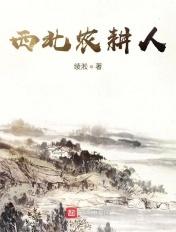 西北地区的农业以什么为主?