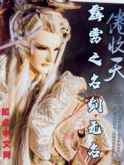 霹雳布袋戏
