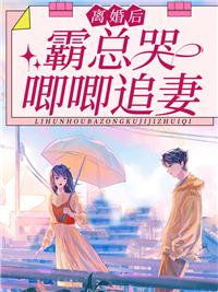 总裁前任别撩我全本