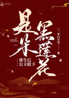 重生后公主殿下是朵黑莲花男主是谁