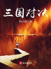 三国对对碰第16关