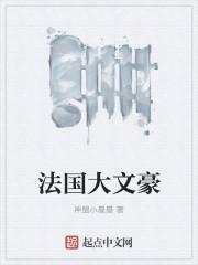 法国文豪cd8st