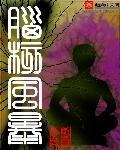 脑核风暴书评区