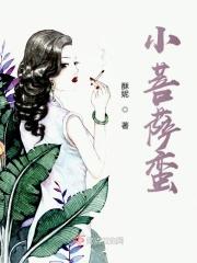 菩萨蛮整首诗