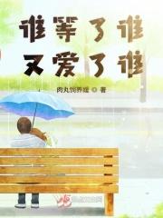 谁还在等歌词