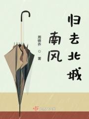 南风有归的