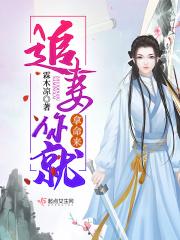 追妻令