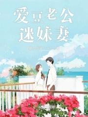 爱豆老公是什么意思