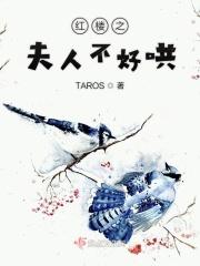 红楼之夫人系统