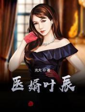 医婿叶辰无弹窗