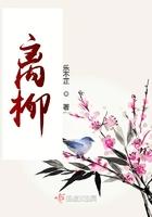 离柳集团总经理是谁