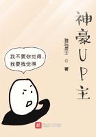 神豪流是什么