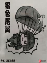 隐形尾翼