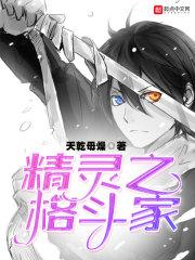 精灵宝可梦格斗家