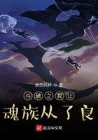 斗破之我让魂族从了良起点