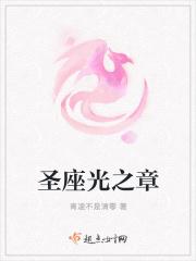 天之圣杯的回忆