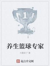 养生篮球专家排名