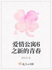 爱情公寓6原著