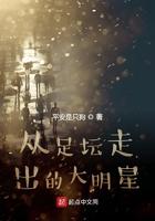 从足坛走出的大明星都有哪些