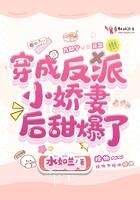 穿成反派的小夫妻