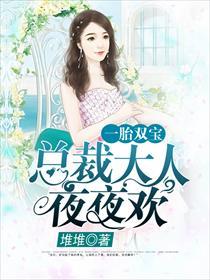 一胎双宝总裁大人夜夜欢完整版免费收听
