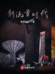 流量时代什么意思
