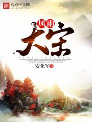 风雨大宋精校版