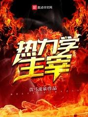 热力学主宰好看吗