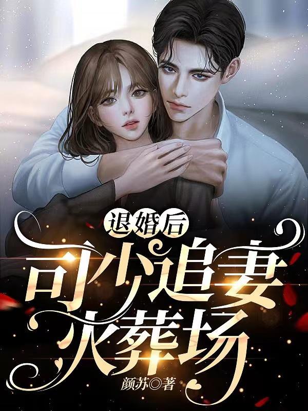 司少追妻火葬场!_