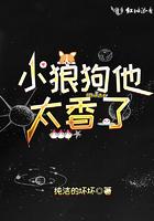小狼狗他超难追番茄
