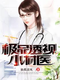 极品透视小村医全集