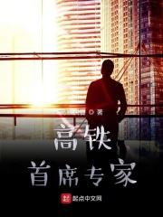 高铁专家视频