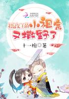 摄政王的小祖宗又撒野了507