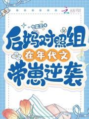 年代 后妈