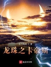 龙珠之之
