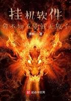 挂机软件叫什么