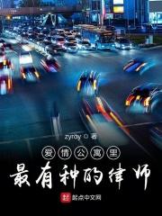 爱情公寓2律师
