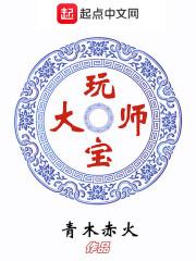 玩宝大师免费阅读全文