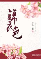 锦衣色说的什么