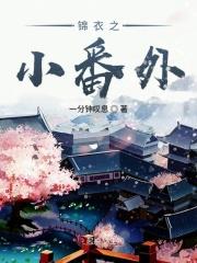 锦衣之外