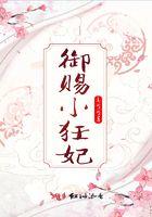 御赐小仵作内容